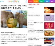 SmartNews